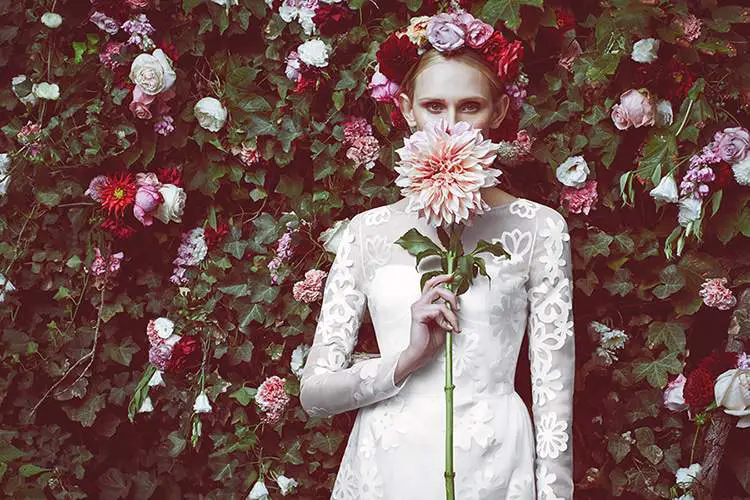 Stone Fox Bride by Molly Guy